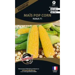 Graines potagères premium maïs