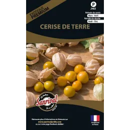 Graines potagères premium cerise de terre