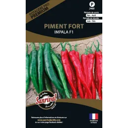 Graines potagères premium piment