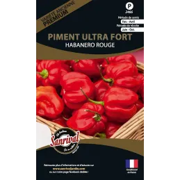 Graines potagères premium piment