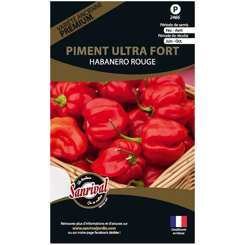 Graines potagères premium piment