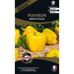 Graines potagères premium poivron