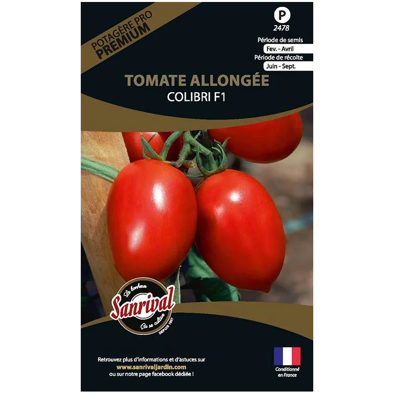 Graines potagères premium tomate