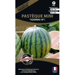 Graines potagères premium pastèque mini tigrimini