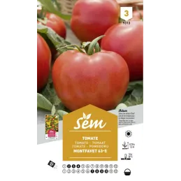 Graines potagères tomate