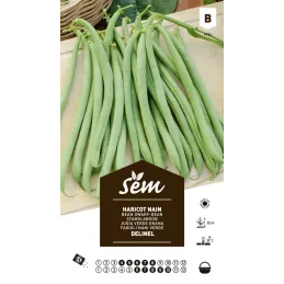 Graines potagères haricot Delinel nain mangetout