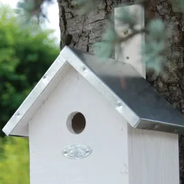 Nichoir à mésange en bois de pin blanc