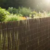 Canisse en osier naturel