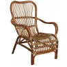 Fauteuil en rotin antique Leon
