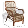Fauteuil en rotin antique Leon