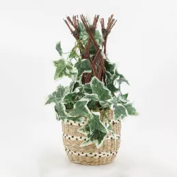 Cache-pots en jonc naturel et noir (lot de 3)