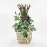 Cache-pots en jonc naturel et noir (lot de 3)