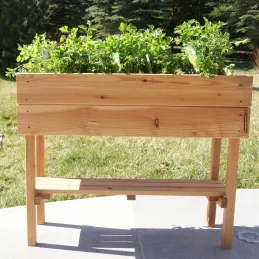 Potager sur pied en mélèze huilé Kid 75 x 24 x 60 cm