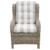 Fauteuil en poellet gris + coussin rayé