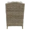 Fauteuil en poellet gris + coussin rayé