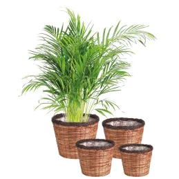 Cache-pots ronds en jacinthe (lot de 4)