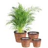 Cache-pots ronds en jacinthe (lot de 4)