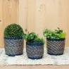 Cache-pots en jonc naturel et bleu (lot de 3)