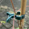 Pinces de fixation en plastique pour plantes (Lot de 10)