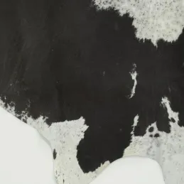 Véritable peau de vache naturelle marron et blanche