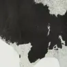 Véritable peau de vache naturelle marron et blanche
