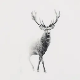 Corbeille ronde en manguier avec résine blanche décor Cerf