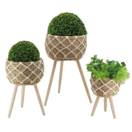 Cache-pots en jonc sur pieds (lot de 3)
