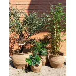 Maxi Cache-pots en jonc