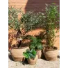 Maxi Cache-pots en jonc
