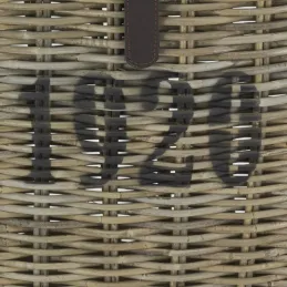 Coffre en poelet gris et cuir 1920