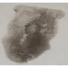 Peau de mouton véritable