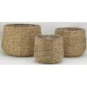 Cache-pots en jonc tissé (lot de 3)