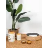 Panier pour chien/chat en jonc