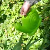 Arrosoir animal en plastique