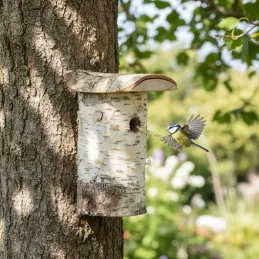 Nichoir pour mésange bleue en bois de bouleau