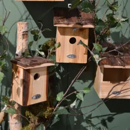 Nichoir pour oiseaux avec toît en écorce