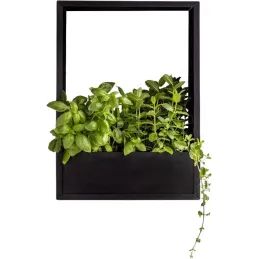 Cadre mural en fer pour plantes Garden