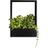 Cadre mural en fer pour plantes Garden