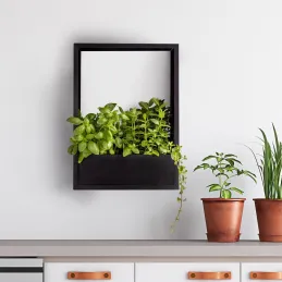 Cadre mural en fer pour plantes Garden