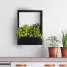 Cadre mural en fer pour plantes Garden