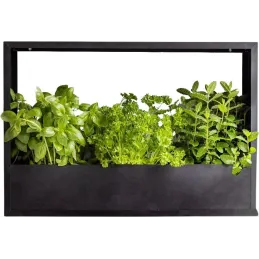 Cadre mural en fer pour plantes Garden