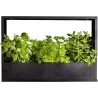 Cadre mural en fer pour plantes Garden