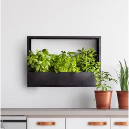Cadre mural en fer pour plantes Garden