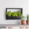 Cadre mural en fer pour plantes Garden