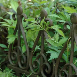 Bordurette en fonte à planter Charme
