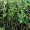Bordurette en fonte à planter Charme
