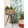 Jardinières rectangulaires en jonc et zinc (lot de 3)