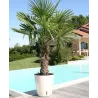 Pot en plastique rond avec réserve d'eau 30 cm Eva