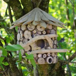 Nichoir demi-rond en bois d'albésia à accorcher