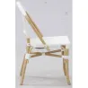 Chaise d'extérieur en rotin et résine (Lot de 4)